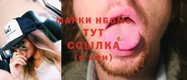 молекула духа Няндома